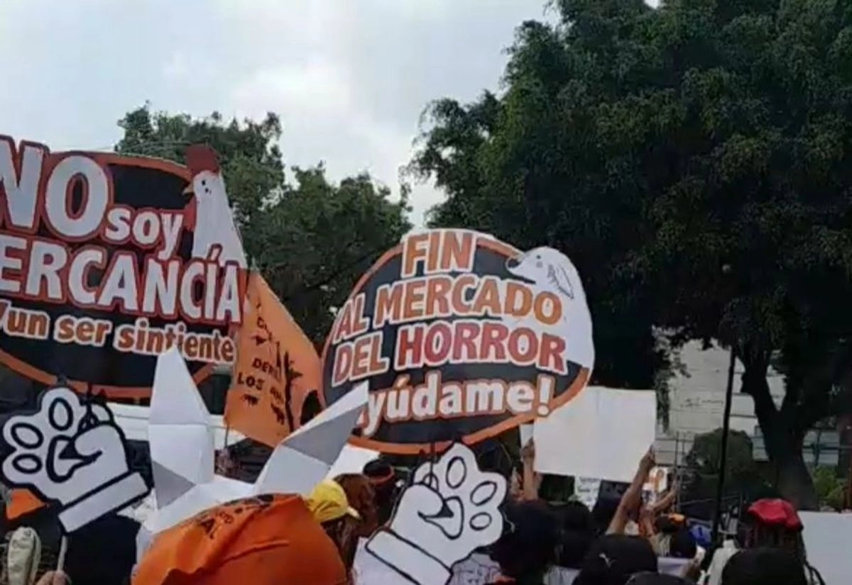 El Frente Ciudadano pro Derecho Animal y la Alianza un Millón de Esperanzas, marcharon del mercado de Sonora al Zócalo para protestar contra la venta de animales en el centro de abasto, el 5 de octubre de 2025. Foto   
