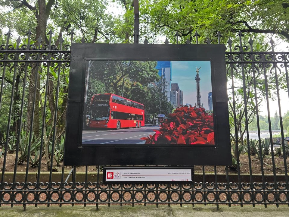 Con motivo de los 20 años del sistema Metrobús se inauguró una exposición fotográfica en las rejas del jardín botánico del Bosque de Chapultepec. Foto