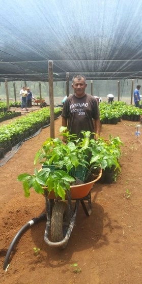 Entrega de plantas producidas en viveros comunitarios del territorio Acayucan, para sembradoras y sembradores del municipio de Hueyapan de Ocampo, Veracruz. Foto @SemVidaMx
