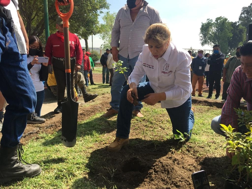 Judith Venegas Tapia, alcaldesa de Milpa Alta siembra un arbusto de retama para dar inicio al programa Reto Verde. Foto Cortesía alcaldía Milpa Alta