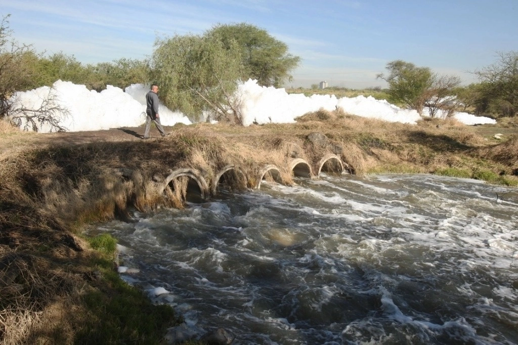 En un estudio que académicos realizaron con ratones, a los que les dieron a beber agua de tramos del río Santiago, donde es más evidente la contaminación, detectaron alteraciones en las células de sus riñones de los roedores. Foto Arturo Campos
