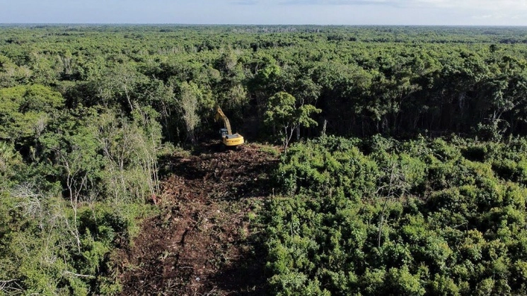 Vista de la selva, donde se ubicará el Tramo 6 del Tren Maya. Foto Cuartoscuro / Archivo 