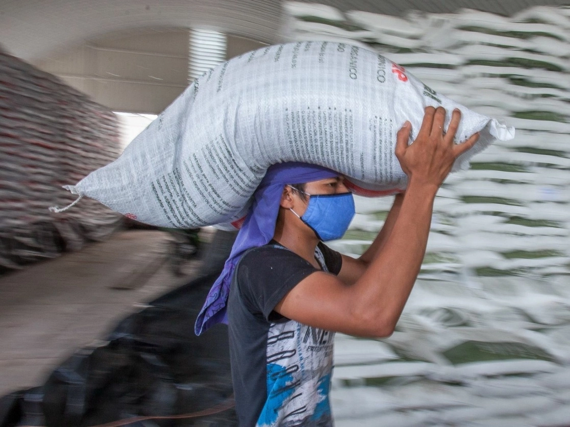 La Sader informó que una vez que comience la entrega de fertilizantes, los productores podrán recibir sus insumos en los Centros de Distribución Agricultura-Segalmex (Cedas), Foto Cuartoscuro / Archivo