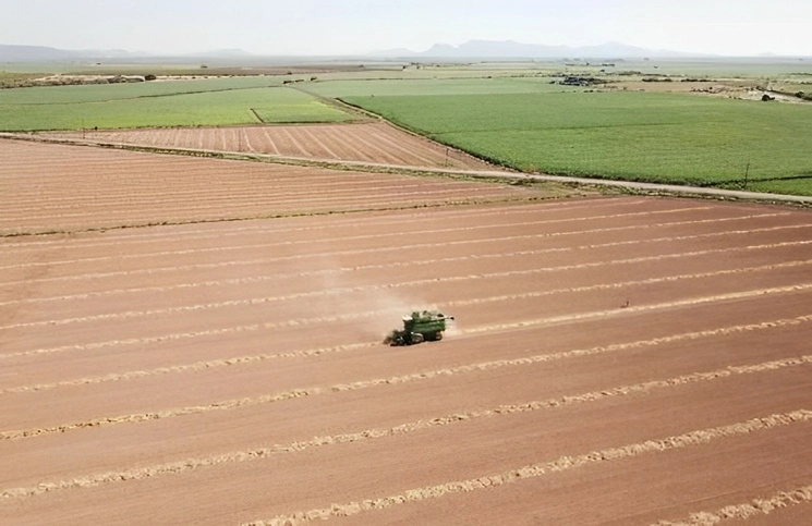 La Financiera Nacional de Desarrollo Agropecuario, desaparecerá ya que no cumplía con su objetivo prioritario, que era impulsar el desarrollo del campo de mexicano. Foto La Jornada / Archivo