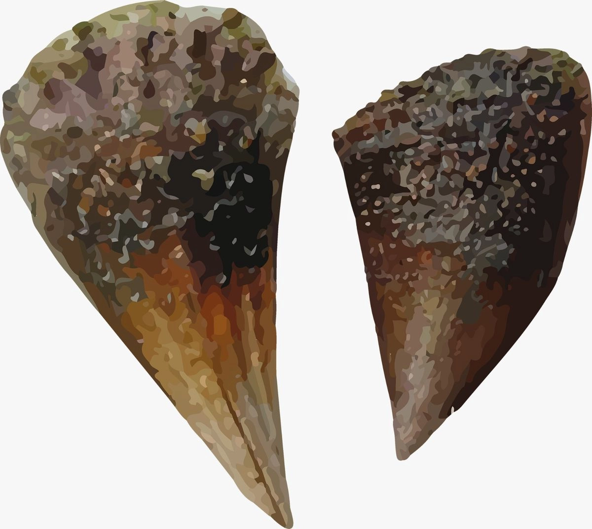 Previo a la transportación del producto inventariado, los interesados deberán solicitar y registrar la correspondiente Guía de Pesca en el portal: http://guiaspesca.conapesca.gob.mx/, y presentarla debidamente requisitada en la oficina de Conapesca más cercana. Foto 