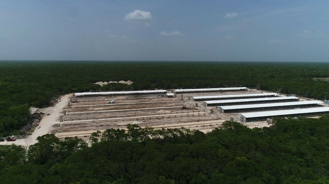 Granja porcícola en Yucatán. Foto tomada de 'La Jornada Maya' / Archivo