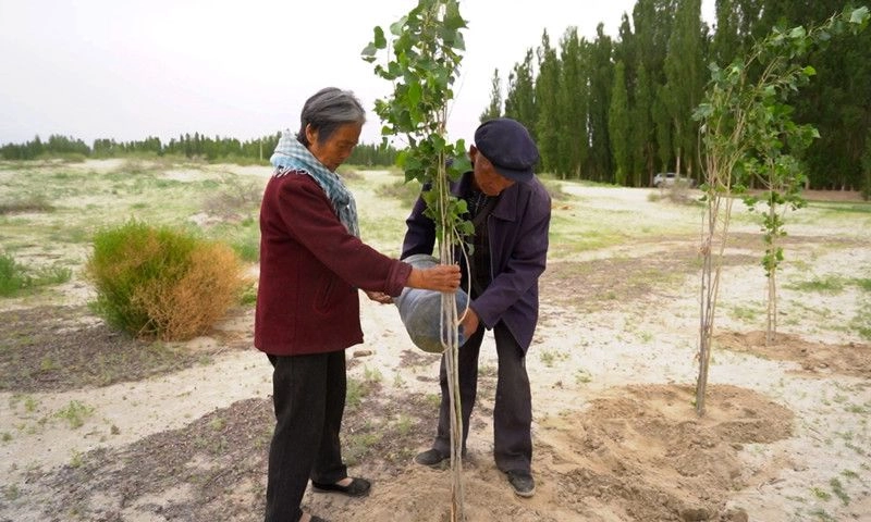 La batalla contra el desierto parecía perdida. Así que papá Fu tuvo una idea: sembrar árboles para frenar las tormentas de arena. Foto