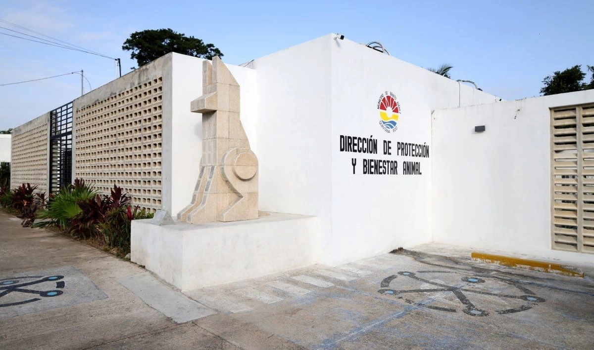 Desde que trascendió el sacrificio masivo de mascotas en el Centro de Bienestar Animal, la alcaldesa destituyó a Yamili Góngora, nombrando como encargado de Despacho de la Dirección General de Protección y Bienestar Animal a René Olivares Pérez. Foto