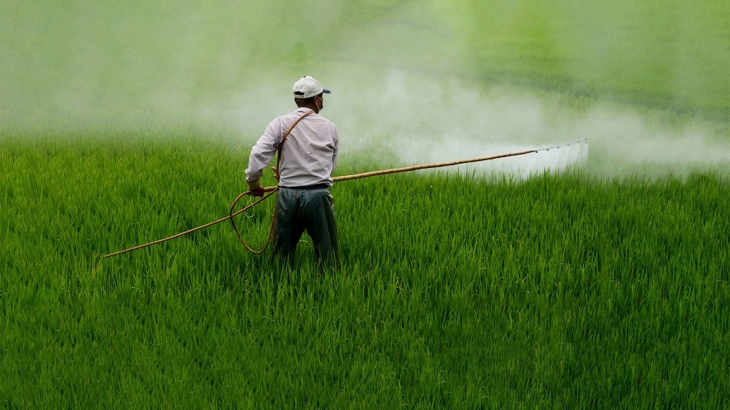 Estudios en población rural y urbana de Jalisco revelaron la presencia del herbicida glifosato en agua del servicio público y en garrafones, así como en personas. Imagen tomada del sitio web https://conacyt.mx/expediente-cientifico-sobre-el-glifosato-y-los-cultivos-gm/