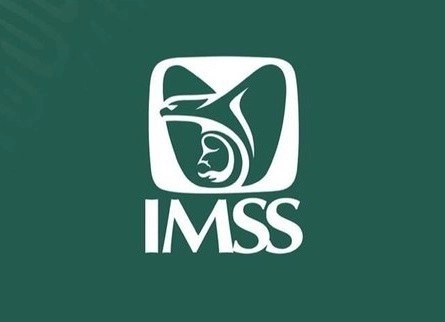 El Consejo Técnico del Instituto Mexicano del Seguro Social (IMSS) ratificó por unanimidad el criterio. Imagen Twitter @Tu_IMSS