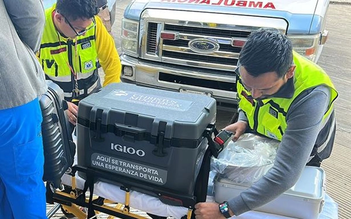 Corazón, hígado, pulmones y riñones fueron trasplantados en hospitales de Guadalajara, Monterrey y CDMX. Foto
