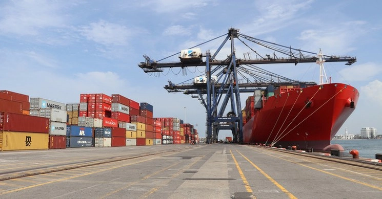 Estas medidas forman parte de las labores que realiza la Sader, a través del Senasica en todos los puertos, aeropuertos y fronteras. Foto Cortesía Senasica