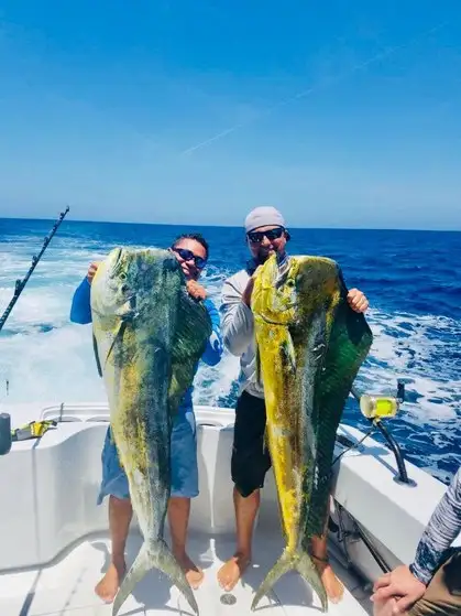 Alrededor de cada pescador deportivo hay 58 empleos directos e indirectos, señalan expertos. Foto La Jornada