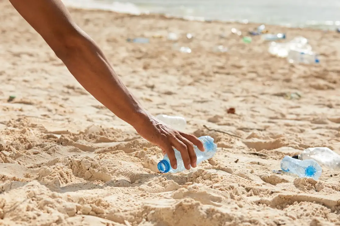 Reciclaje: una tarea de todos