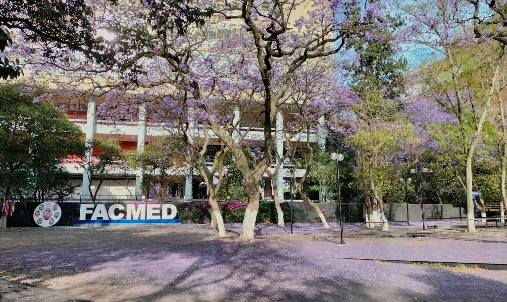 Entre los pliegos petitorios entregados el pasado miércoles y ayer jueves en la dirección de la Facultad, dirigidos a la titular, la Doctora Ana Carolina Sepúlveda, los alumnos solicitan la revisión de los exámenes de los cuatro bloques de Anatomía. Foto tomada de Facebook @FacultadMedicinaUNAM / Archivo