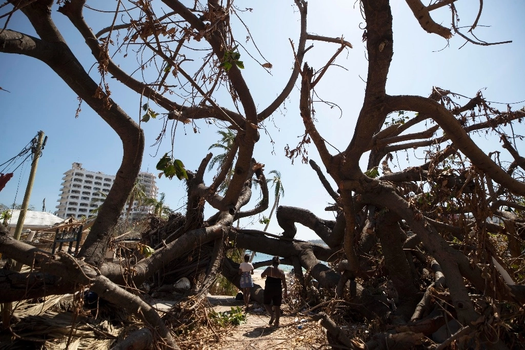 Trabajos de limpia y mantenimiento en el puerto de Acapulco. Foto Alfredo Domínguez