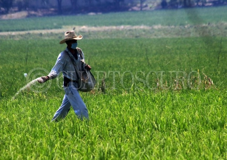 El presidente López Obrador también mencionó que bloqueos afectaron la entrega de fertilizantes. Foto Cuartoscuro / archivo