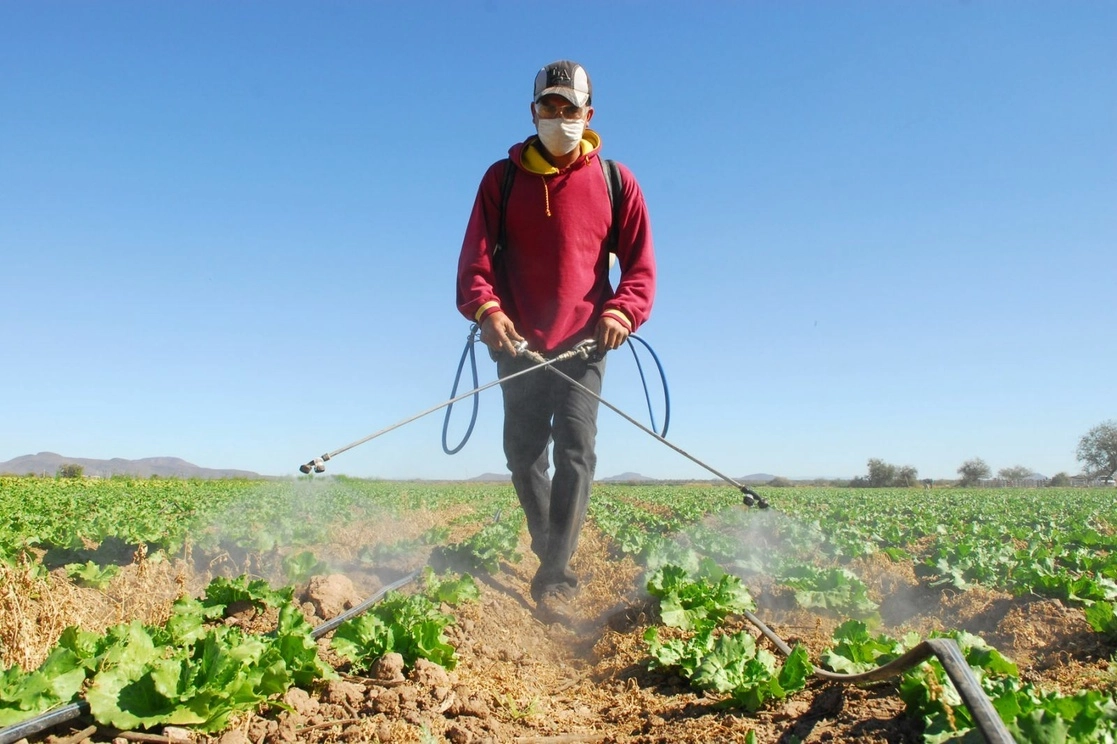 Un jornalero mexicano realiza trabajos de fumigación en un campo de hortalizas. Foto tomada del Facebook de @SREMX / Archivo