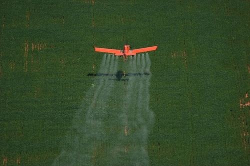 Una avioneta rocía glifosato sobre un sembradío. Foto tomada de https://www.jornada.com.mx/2020/09/19/delcampo/articulos/prohibicion-gradual.html