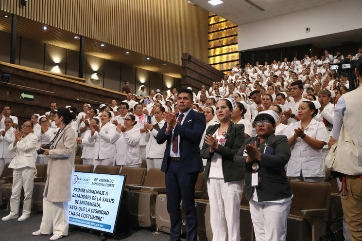 Las profesionales de la salud aprovecharon un homenaje en la Cámara de Diputados para exigir que su trabajo sea reconocido. Foto 'La Jornada'