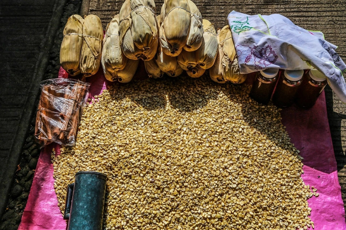 La producción de granos básicos en varios estados del país está en riesgos, alertaron campesinos. Foto Cuartoscuro