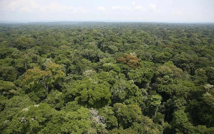 Según informes preliminares, la embarcación de madera chocó durante la noche contra troncos de árboles que se encontraban bajo el agua, lo que provocó que volcara por completo. Las autoridades no han dado un balance de los supervivientes, si bien la sociedad civil ha cifrado en 43 los supervivientes. Foto Google Maps/Archivo 