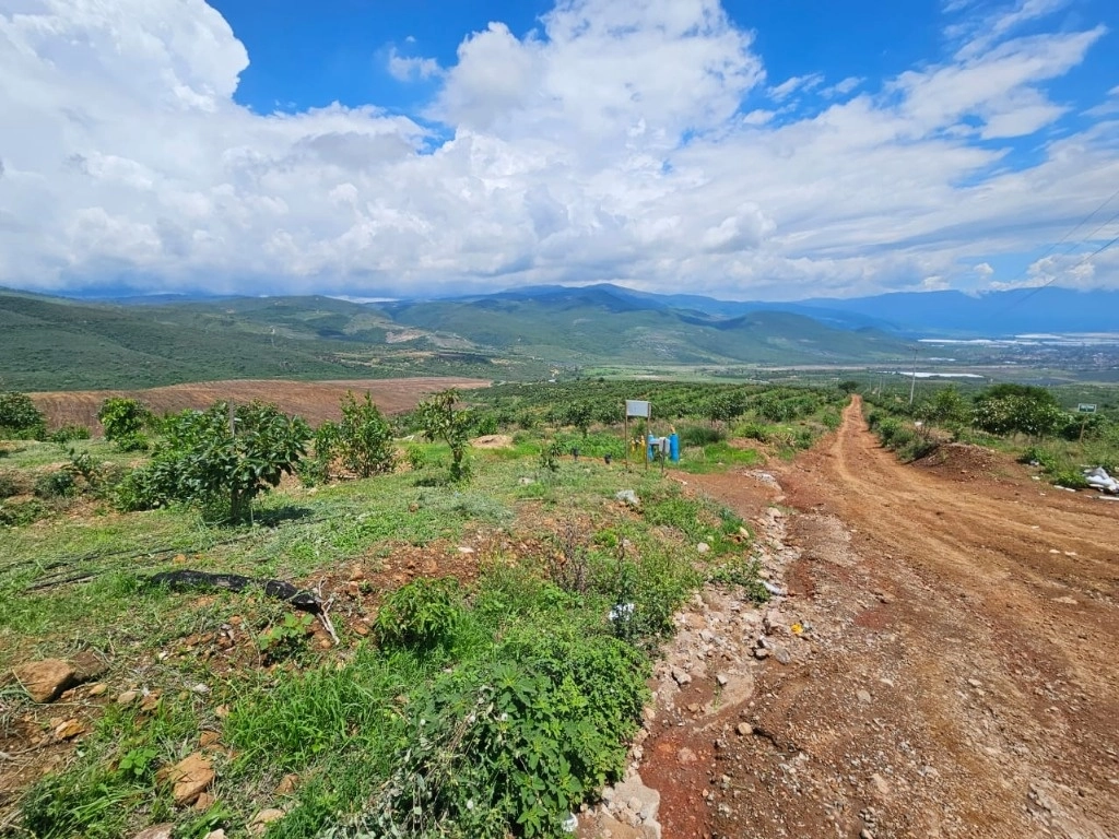 Recuperación de predio de 300 hectáreas. Foto: La Jornada