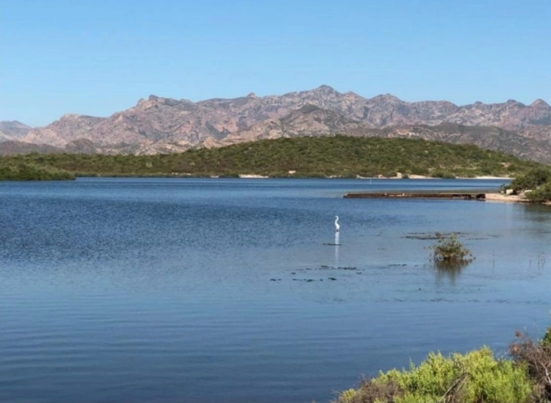 El Instituto Nacional de Ecología y Cambio Climático surgió en 1992, como organismo desconcentrado de la Secretaría de Desarrollo Social. En la imagen, la laguna y especies de aves acuáticas en el Estero del Soldado en Sonora. Foto tomada del Instagram de @ineccmx / Archivo