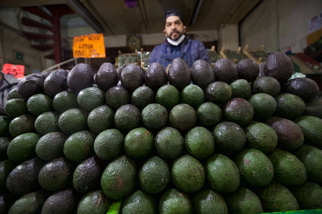 En mayo, el aguacate fue el producto con el mayor aumento de precio, informó el Inegi. Foto Luis Castillo