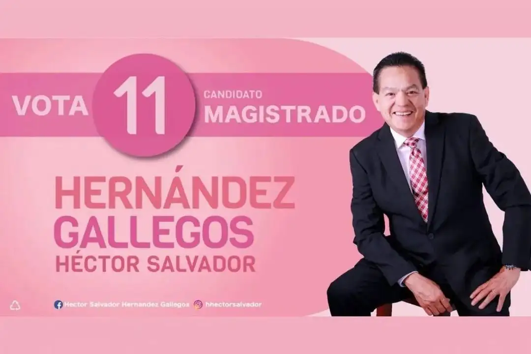 Imagen del candidato Salvador Hernández Gallegos, quien obtuvo más de 80 mil votos. Foto