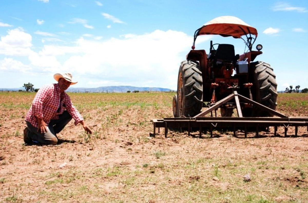 Campesino de Zacatecas. 