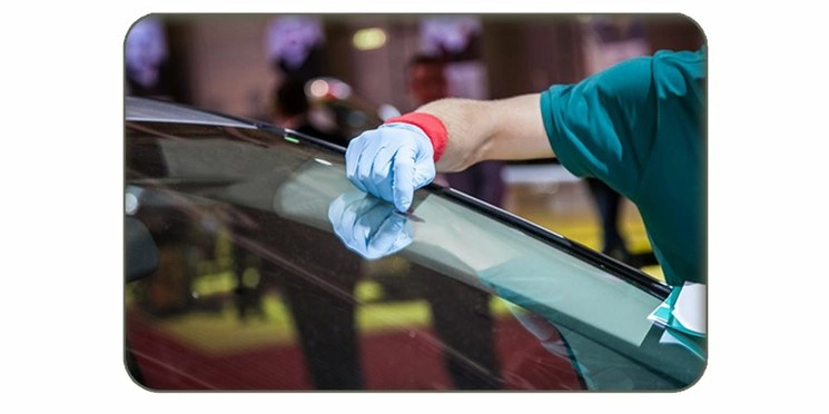 Imagen tomada del sitio vitro. com