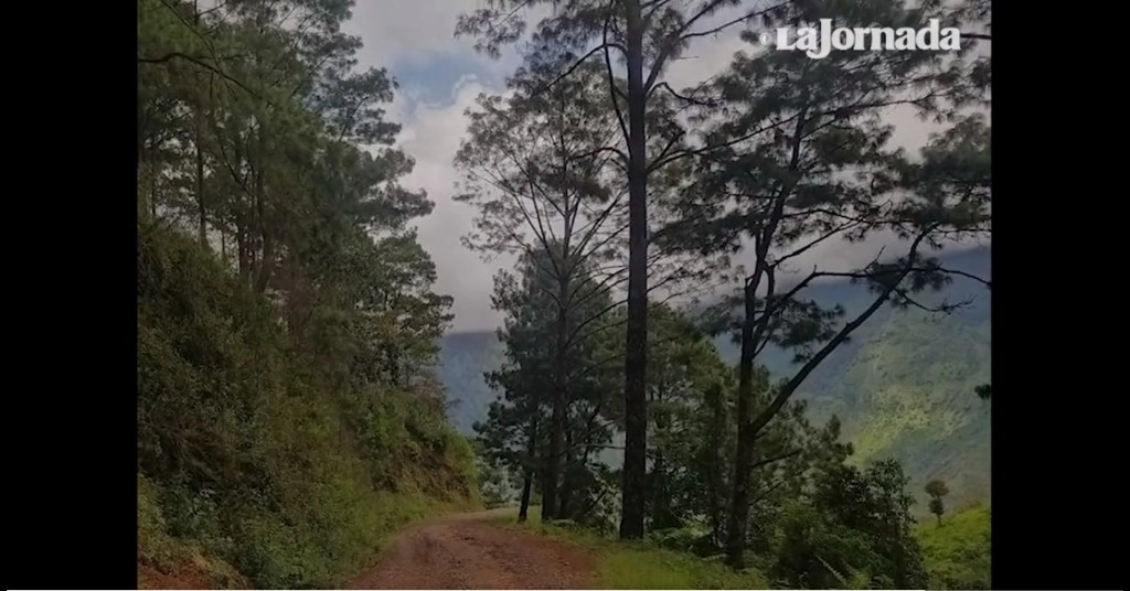 Aspectos de la Montaña Alta de Guerrero. Foto La Jornada