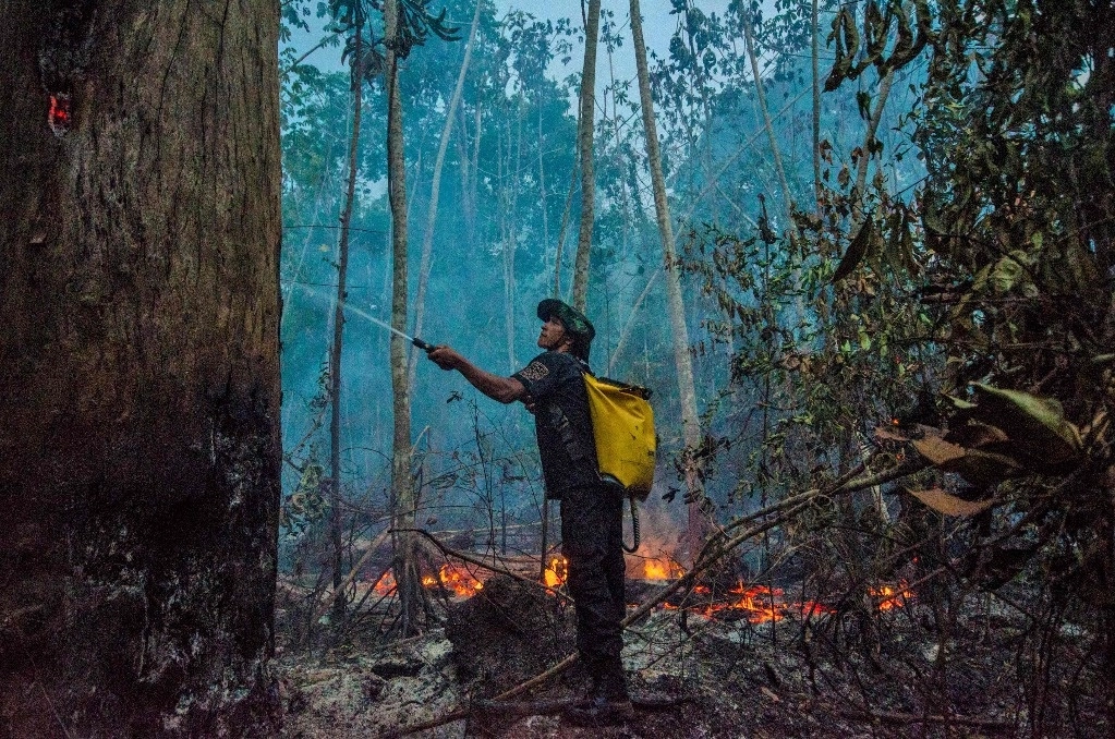 La Amazonía brasileña registra casi tres mil incendios en febrero, un récord para este mes del año. Foto Afp 