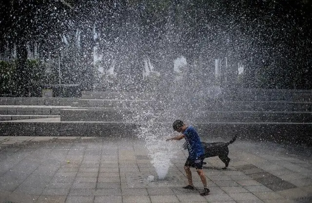 El calentamiento global está cerca de los 1.2 ºC y 2020 no parece que vaya a invertir la tendencia. Foto Yazmín Ortega Cortés