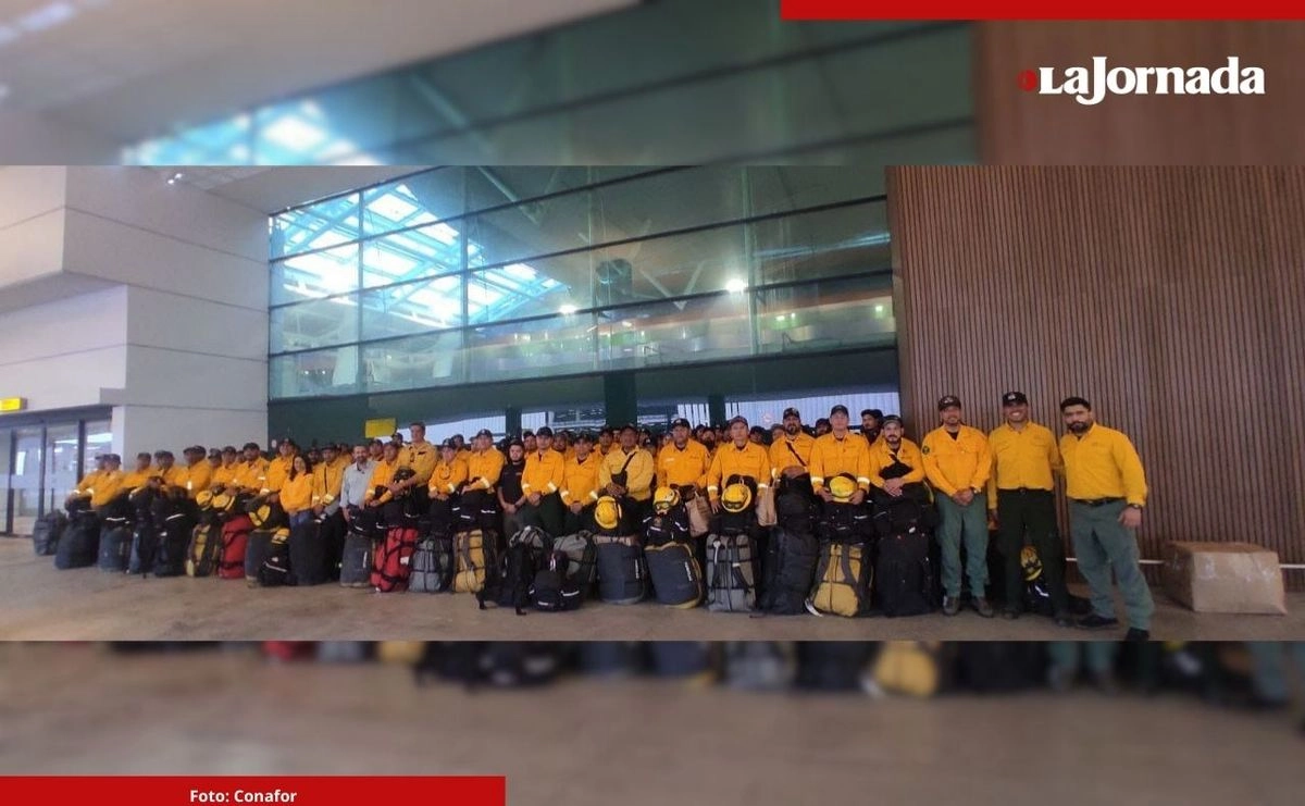El primer contingente de la Comisión Nacional Forestal enviado a combatir los incendios forestales en Canadá regresó este domingo a México tras concluir con su misión. Foto