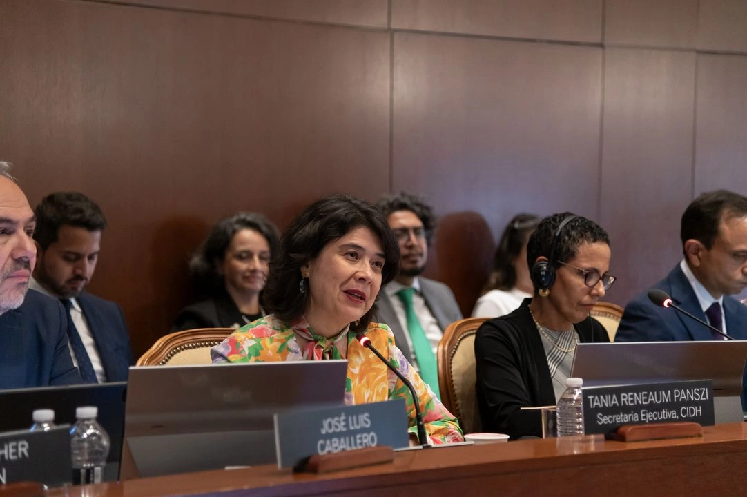 La decisión de dar continuidad a Reneaum se basa en el reconocimiento “de su destacada labor durante su primer mandato", por ejemplo la instrumentación del sistema GAIA, que ha mejorado "significativamente la transparencia, eficiencia y celeridad en la tramitación de peticiones, casos y medidas cautelares". 
