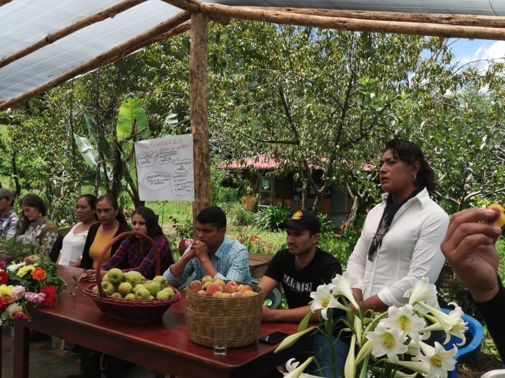 Aurora Aguilar (de pie) y cerca de 2 mil mujeres formaron la Zona Agroecológica Libre de Plagas y Enfermedades El Aguacate en los municipios de Tecpan de Galeana, Petatlán, Ajuchitlán del Progreso y Coyuca de Catalán. Foto 'La Jornada'