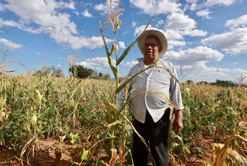 La Sadercomenzó la entrega de semilla certificada de frijol a cientos de campesinos en Zacatecas. Foto Cuartoscuro 
