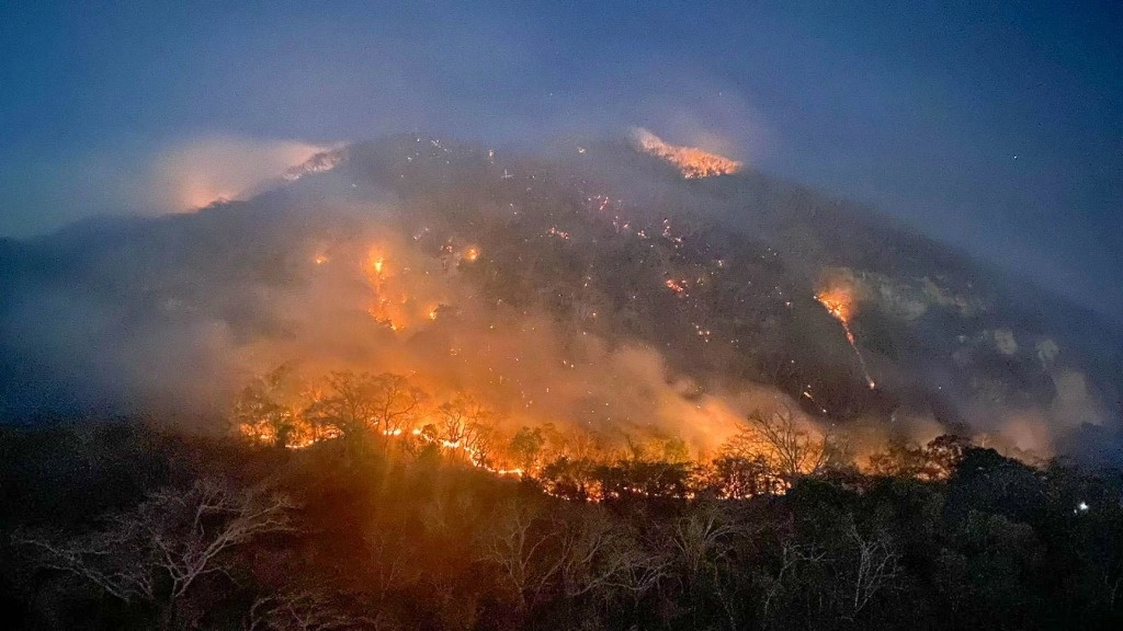 Incendio en el cerro Mactumatza, en Tuxtla Gutiérrez, Chiapas. Foto Cuartoscuro / Archivo 