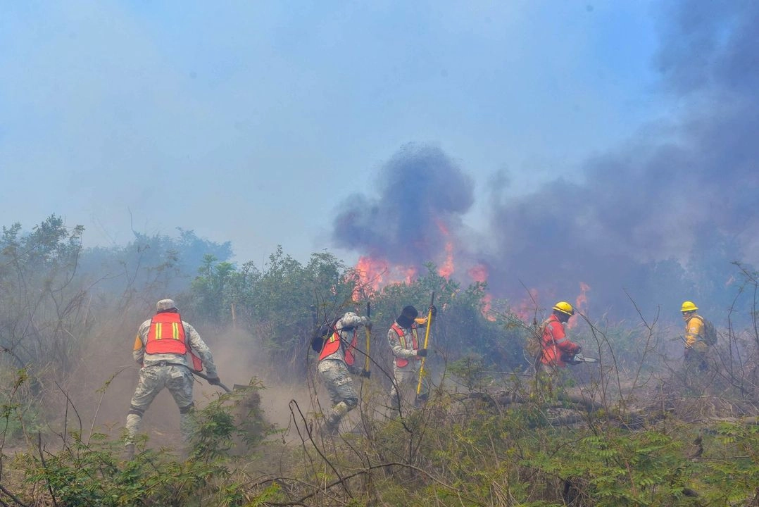 Autoridades de Guerrero reportaron al menos 26 incendios forestales durante la presente temporada. Foto