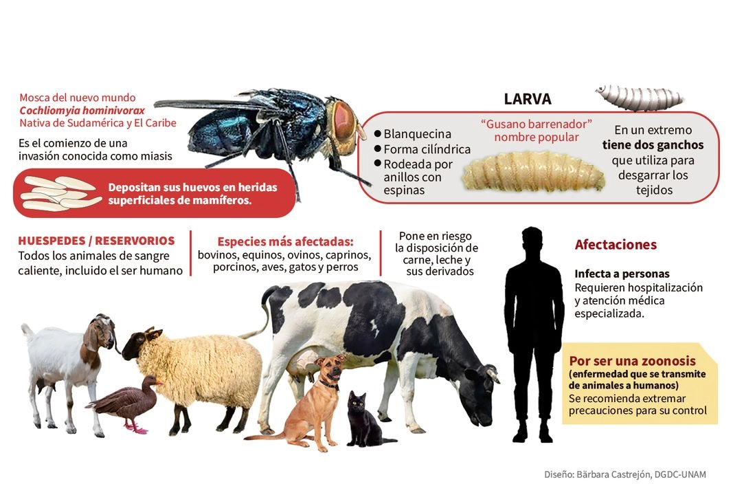 Infografía difundida en las redes sociales de la máxima casa de estudios. Foto