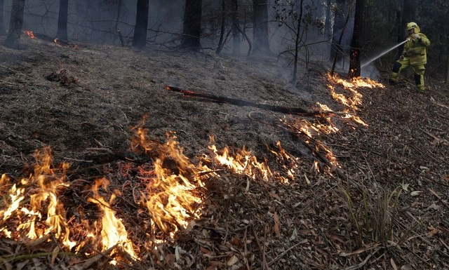 El domingo las bajas temperaturas y la poca fuerza del viento dieron un respiro a localidades de Australia azotadas por incendios. Foto Ap