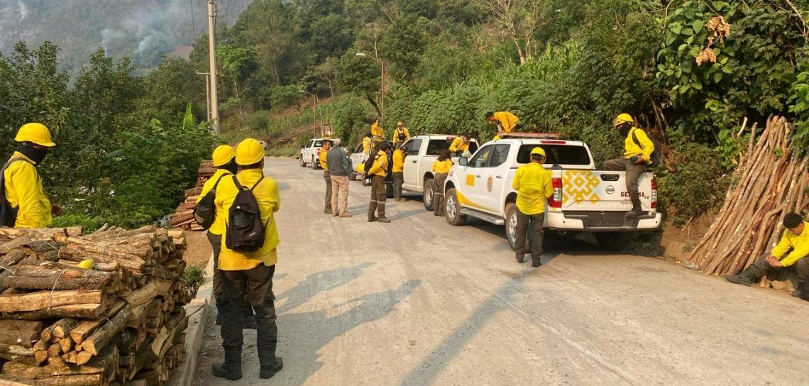 Otros municipios con afectaciones fueron Atlahuilco, Ayahualulco y Coscomatepec. Foto 