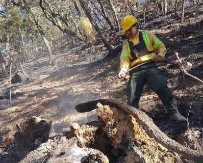 En tanto, las autoridades de Santiago Amoltepec a través de redes sociales han solicitado el apoyo a la ciudadanía para combatir este incendio que se reactivó en la localidad de la Independencia de dicha comunidad de la Sierra Sur. Foto