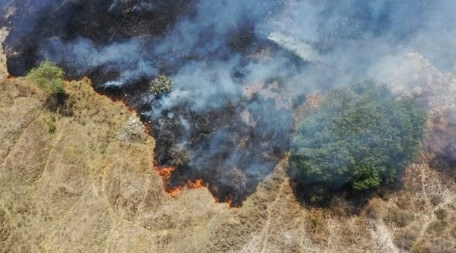 Con poco más de 10 mil hectáreas siniestradas, Puebla ocupa primer lugar nacional en superficie afectada por incendios forestales. Foto José Castañares / ‘La Jornada Oriente’