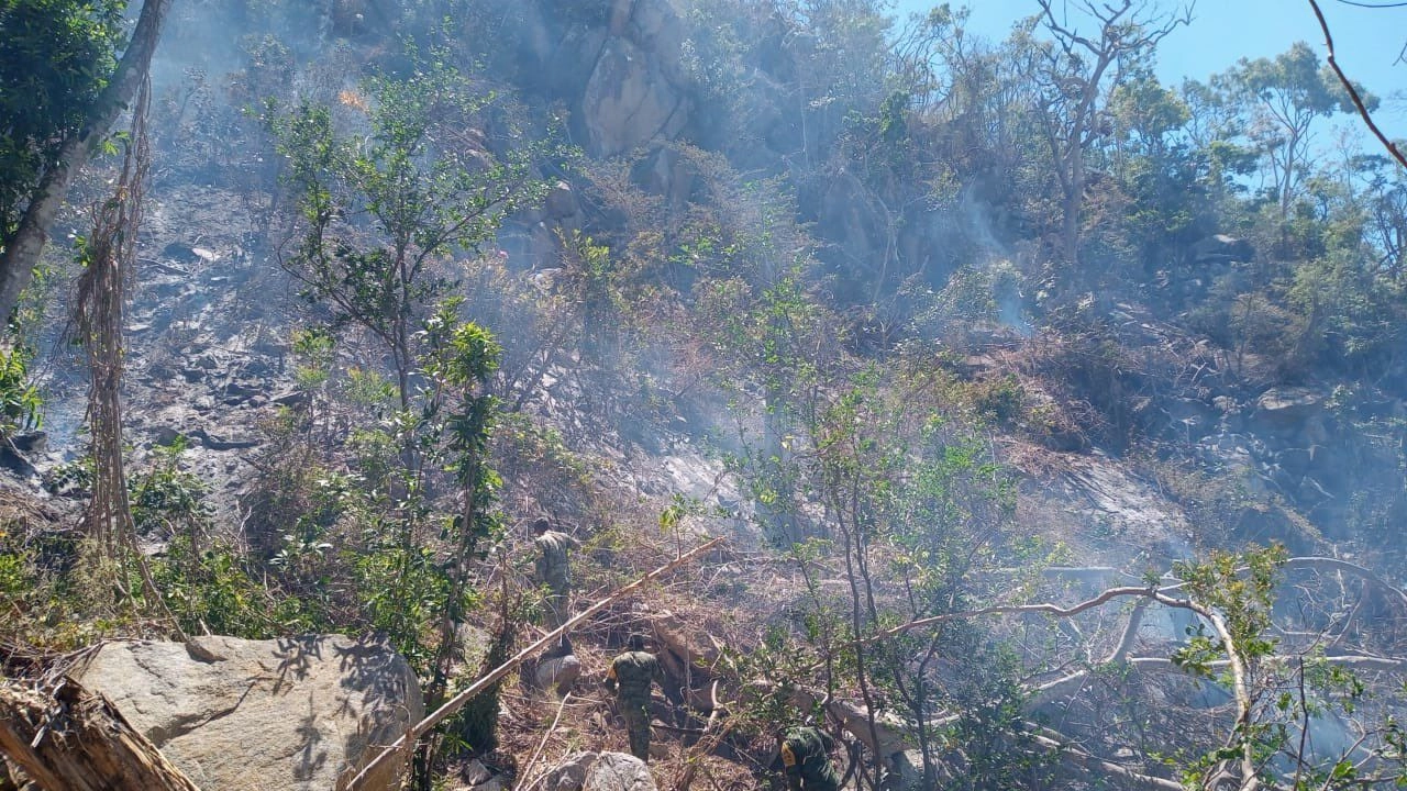 Aunque los incendios de Guerrero son menos que en temporada del año pasado, Protección Civil reportó que se realizan acciones de combate en 16 siniestros en la entidad. Foto