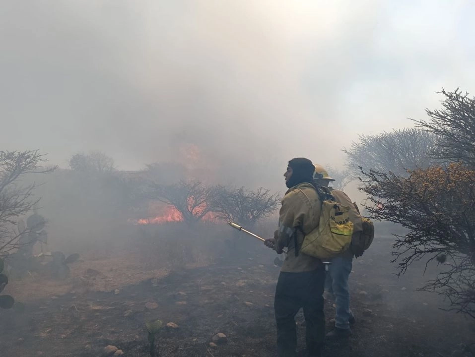 Personal de Protección Civil y bomberos combaten los incendios registrados desde la tarde-noche del viernes 7 de marzo en la ciudad de Zacatecas. Foto Tomada de X