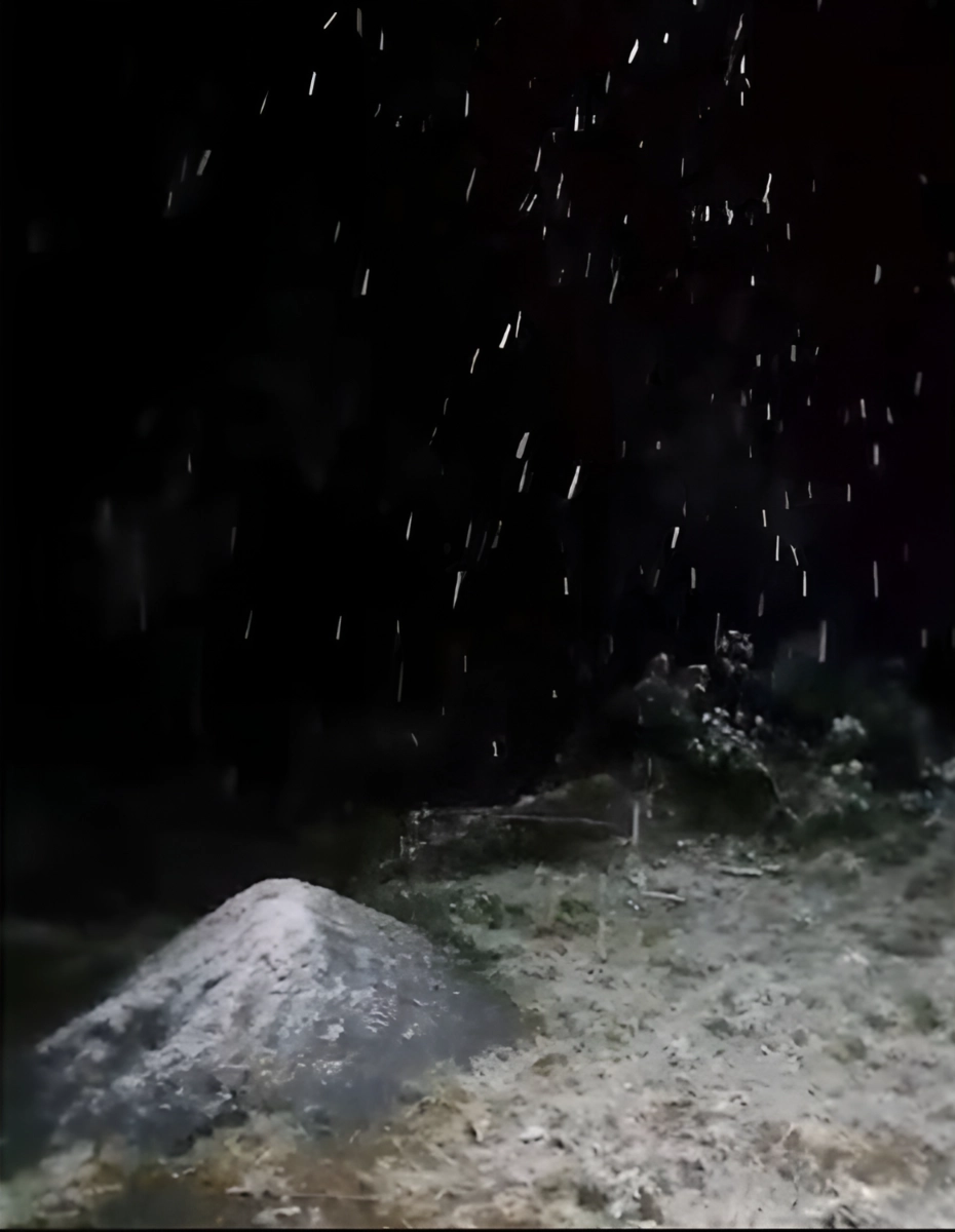 Protección Civil del estado de Nuevo León reportó la caída de agua nieve en el municipio de Allende y zonas altas, a consecuencia del Frente Frío número 27. Imagen tomada de un video difundido en redes sociales