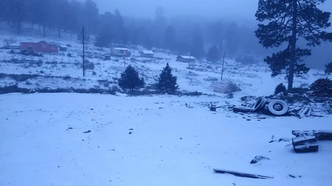 Protección Civil de Durango reportó que en Tepehuanes y en Santiago Papasquiaro, el espesor de la nieve es menor a dos pulgadas, este 30 de diciembre de 2020. Foto La Jornada 